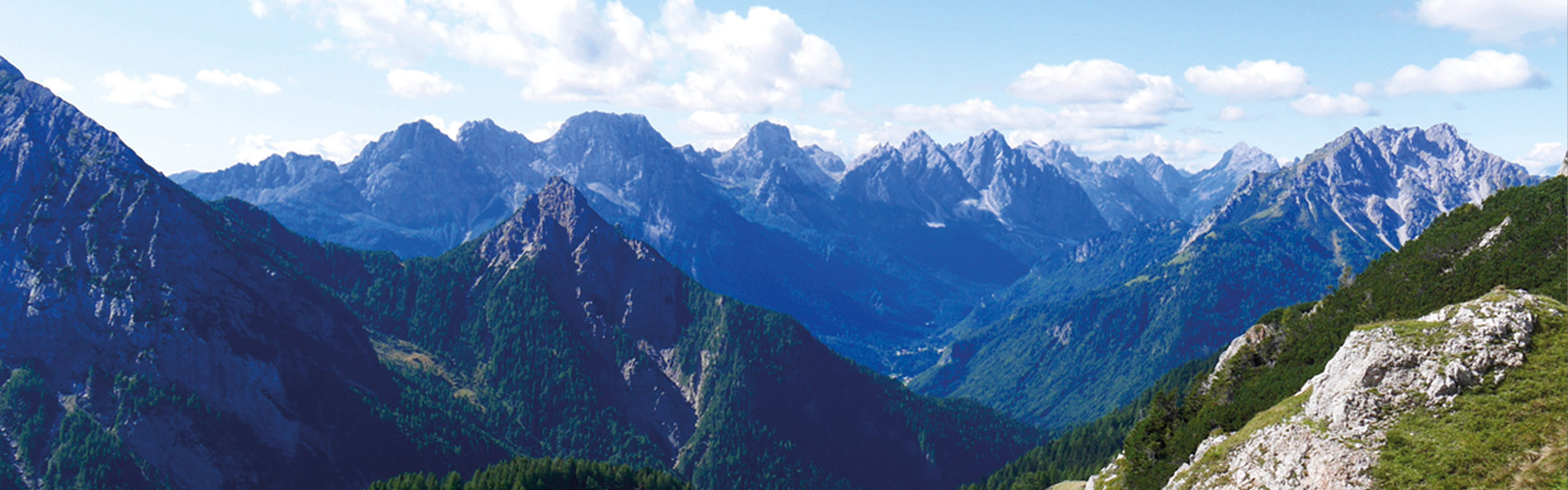 Article-Header-Image.jpg