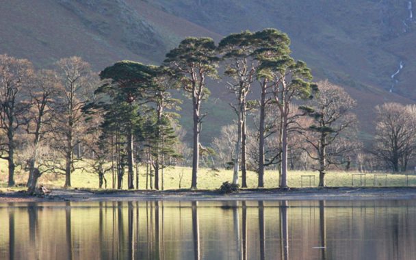 Short Walks Keswick