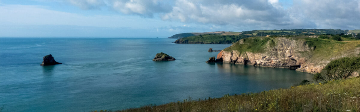 Berry Head