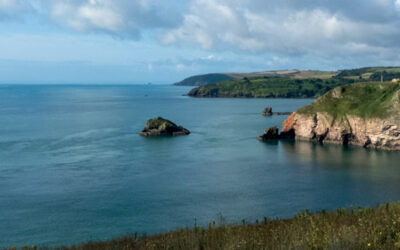 Berry Head