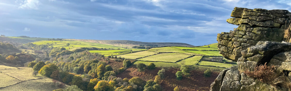 Bretton Clough