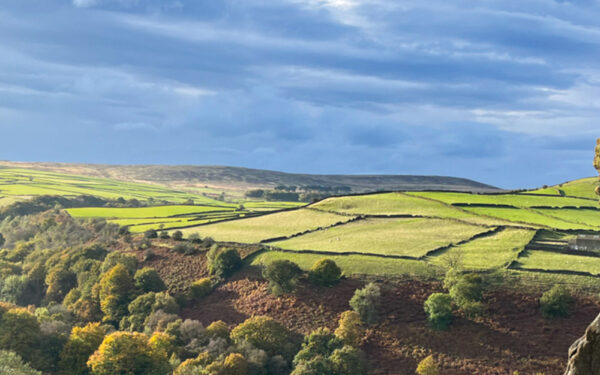 Bretton Clough