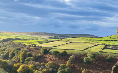 Bretton Clough