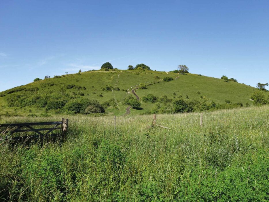 St Catherines Hill