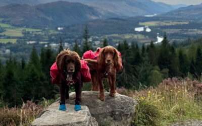 Hugo and Spencer