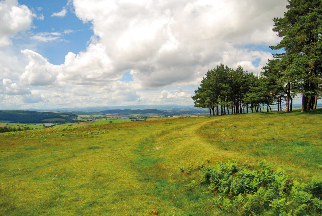 May Hill