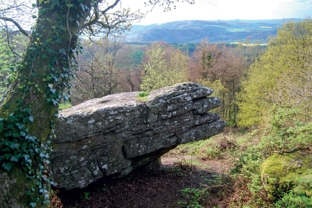 The Buckstone