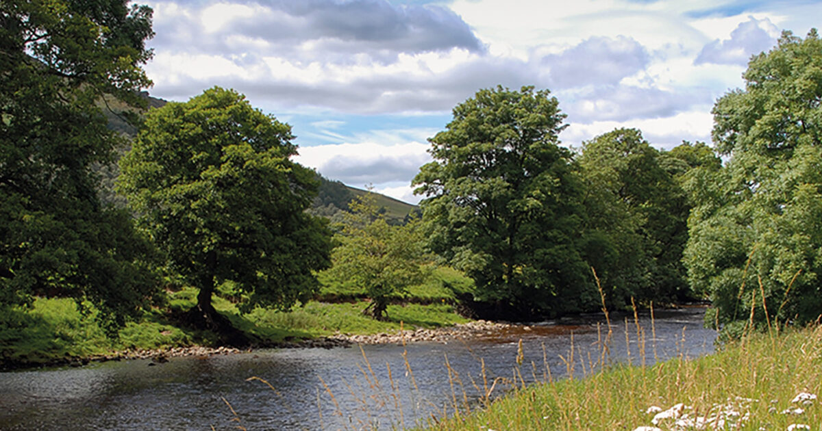 Dale In Geography The Dales Way: Complete Planning Guide | Cicerone | Cicerone Press