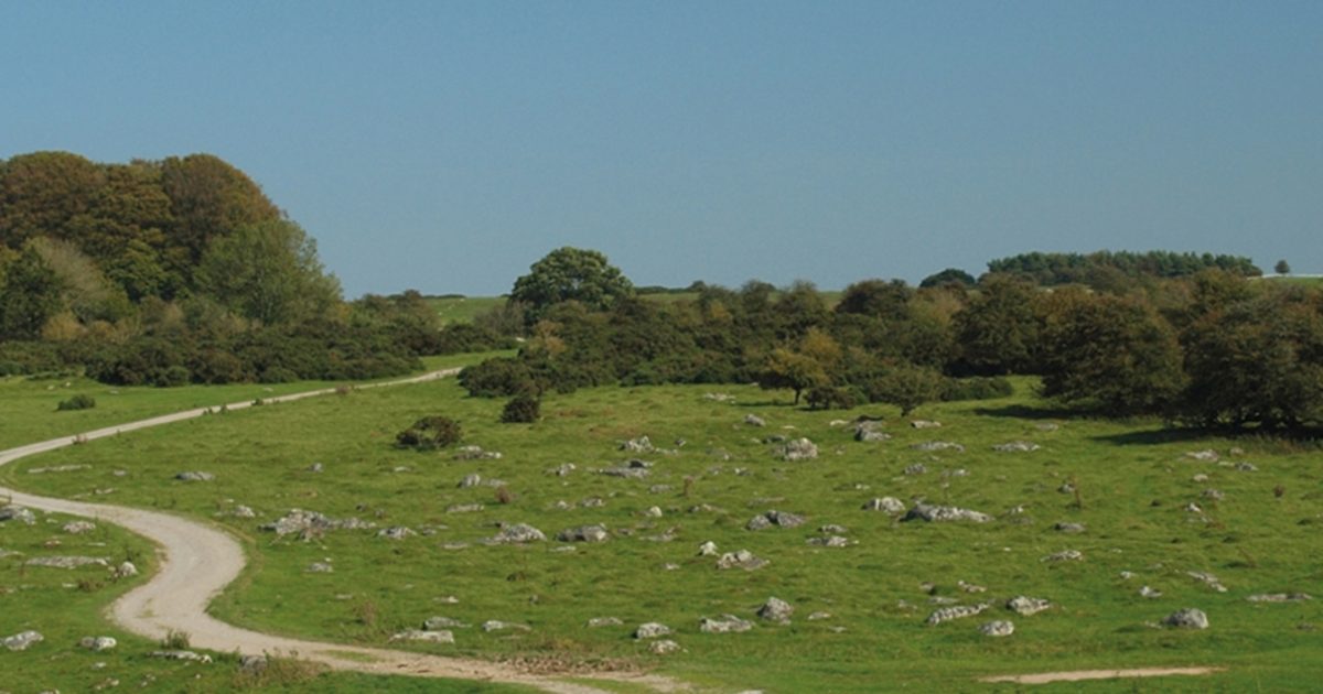 The Ridgeway National Trail: Did you know? | Cicerone Press