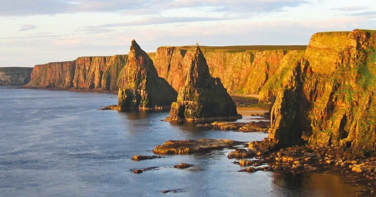 groeit pas in engeland