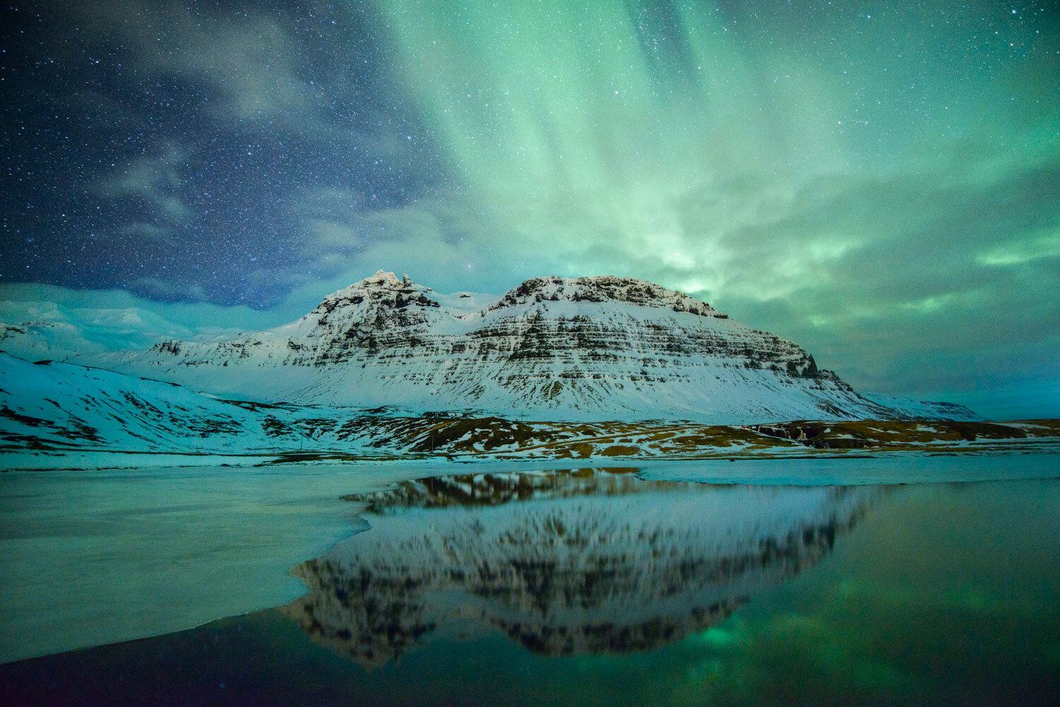 Wild-Photography-Holidays.jpg