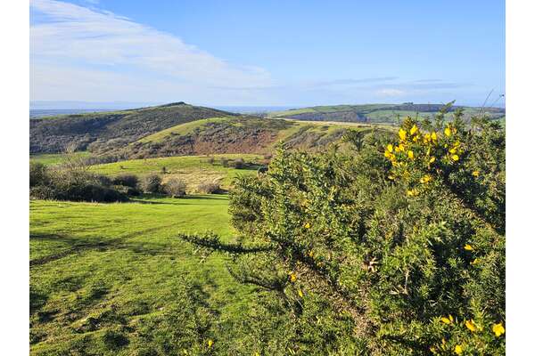15 Short Walks Cheddar and the Mendips - Route Photos