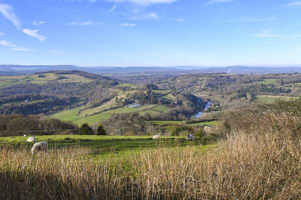 15 Short Walks in the Forest of Dean - Route Photos