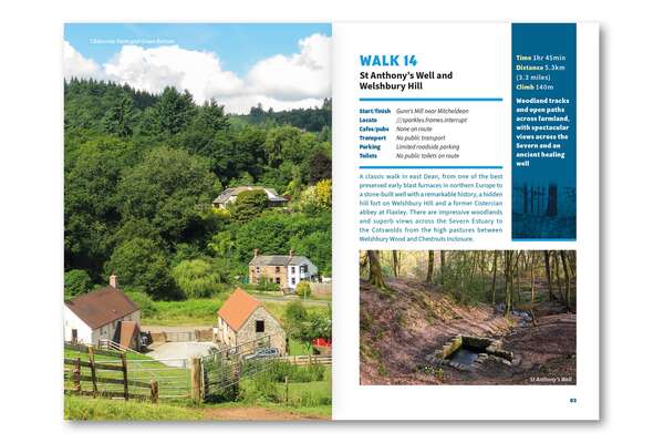 15 Short Walks in the Forest of Dean - Route Photos